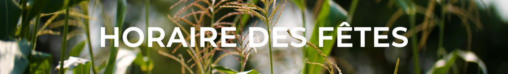 Horaire des fêtes